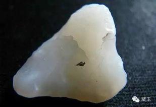 怎么看假料,揭秘假料生成背后的真相