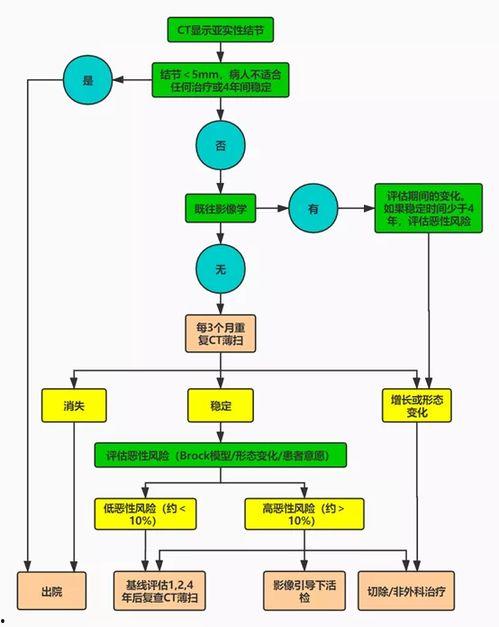 头条西瓜自媒体流程图,揭秘头条自媒体流程图