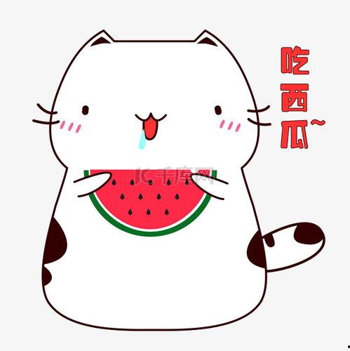 吃瓜可爱视频素材下载免费,免费下载吃瓜可爱视频素材，轻松打造欢乐瞬间