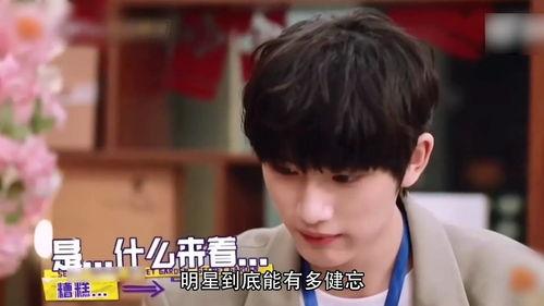 明星能有多健忘吗,记忆的界限与遗忘的奥秘