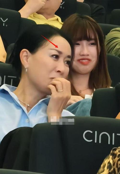 明星图影院,光影交织，星光熠熠的观影盛宴
